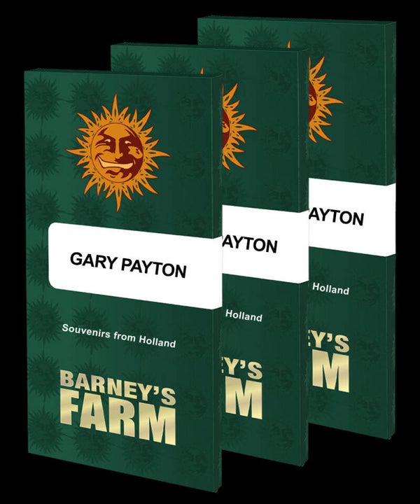 Gary Payton Fem (Barney's Farm)