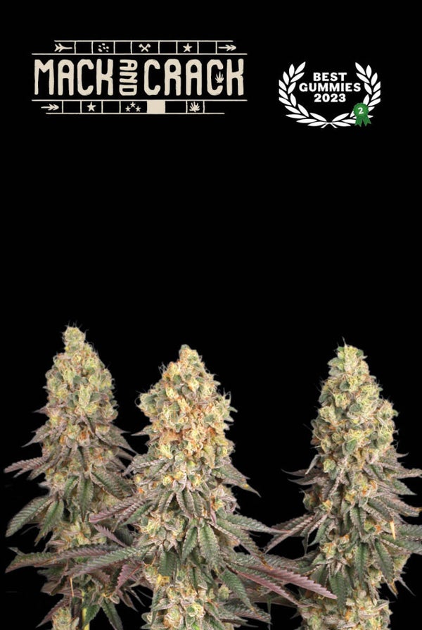 Mack and Crack© Fem (Seed Stockers)
