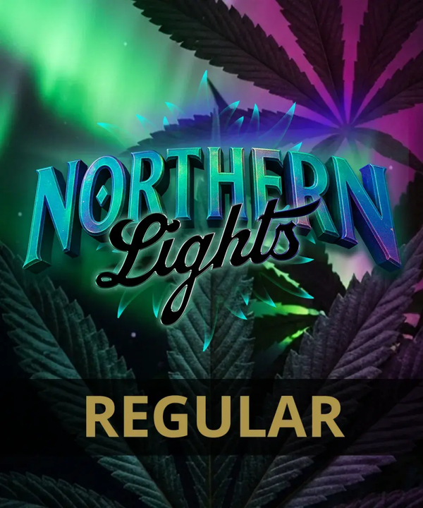 Northern Lights Reg (Barney's Farm)