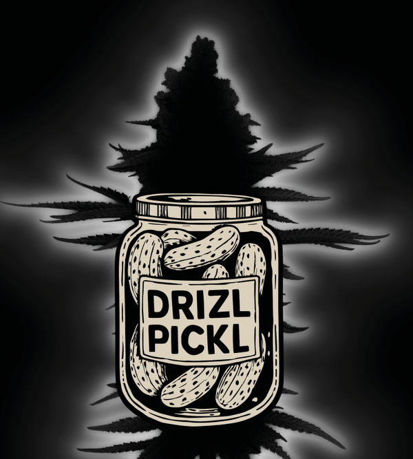 Drizl Pickl Fem (Seed Stockers)