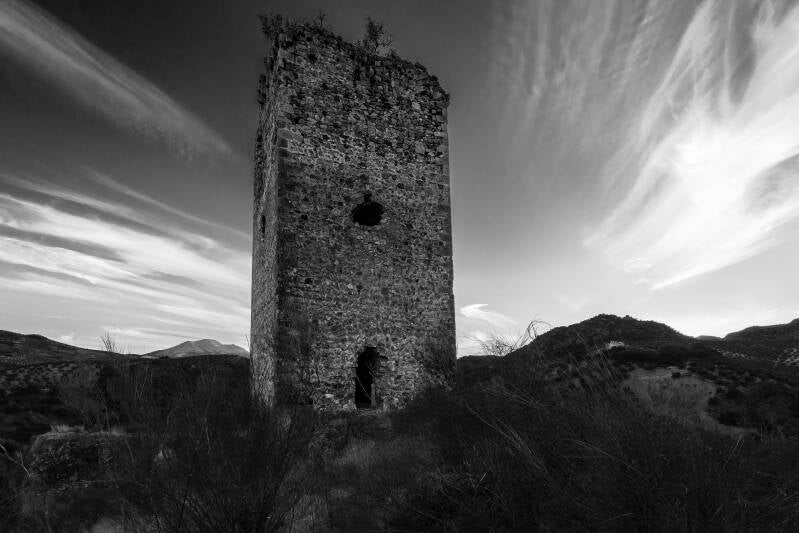_d8b2782bw-standard.jpg