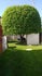 E.s.Entretiens et services Domiciliaires