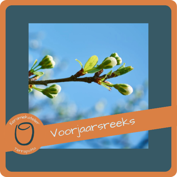 Voorjaarsreeks op vrijdagvoormiddag