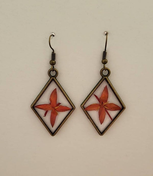 Losange bronze et fleur rouge
