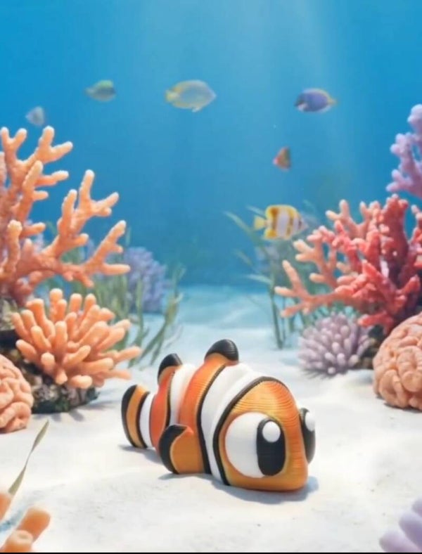 Rybka Nemo