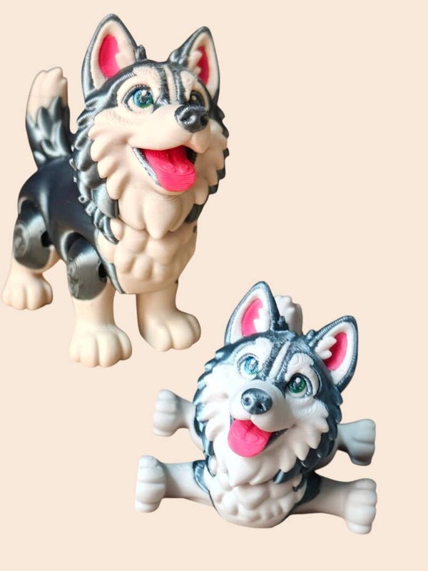Pies Husky