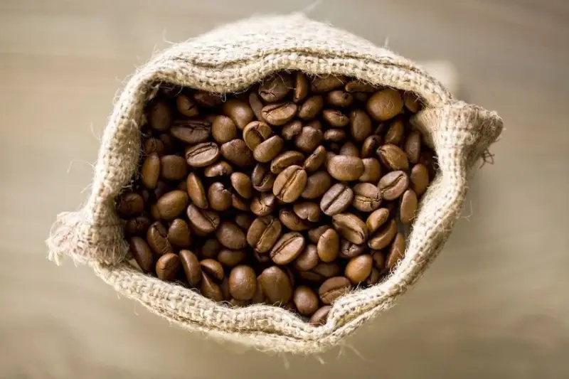 caffè arabica nel mondo