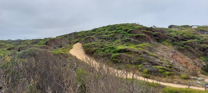 trekking nella boscaglia australiana