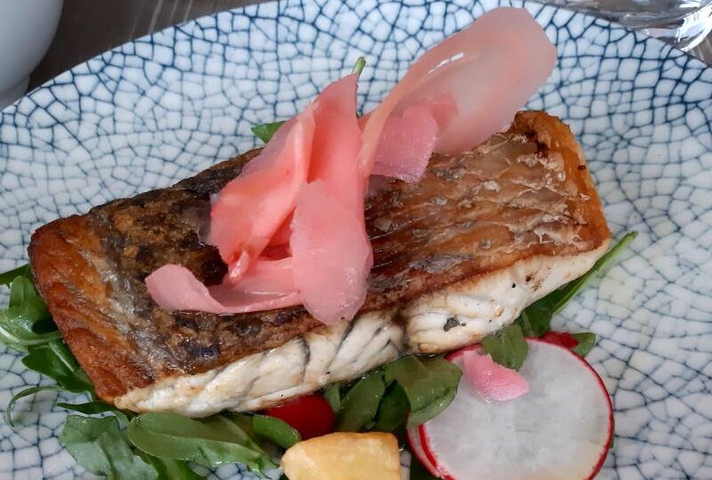 Ottimo carnoso barramundi