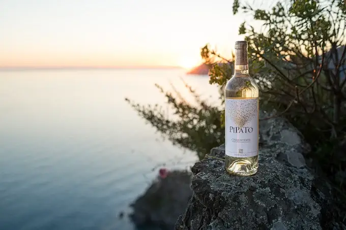 vini estremi liguri il pipato