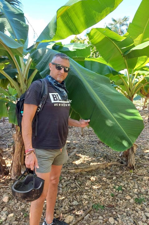 le gigantesche foglie della pianta di banano