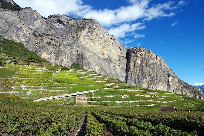 vigneti ad alta quota nel mondo