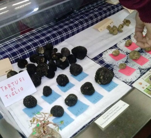 Viaggio nei profumi e sapori del tartufo d' Alba