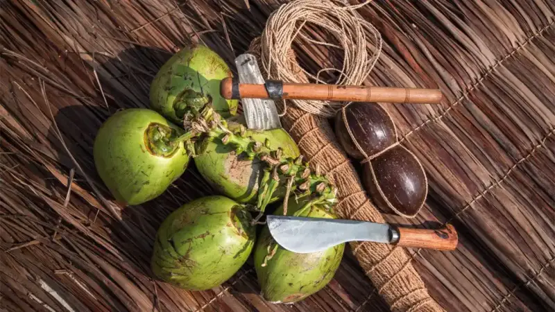 fonte di vita : il cocco alle maldive