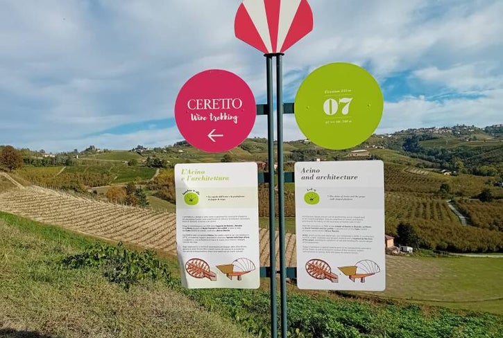 percorsi tra i vigneti del piemonte