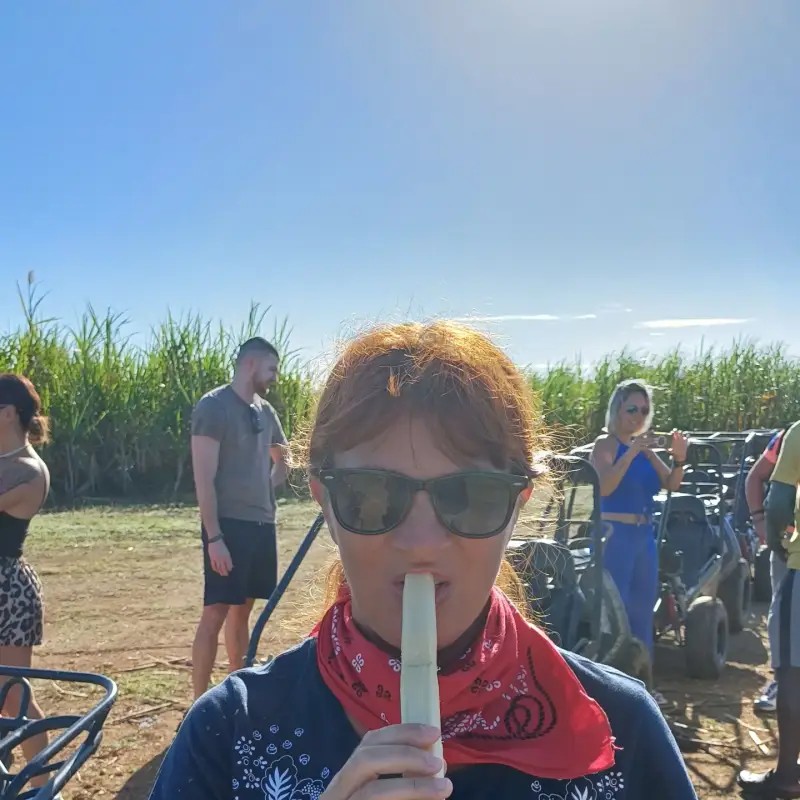 assaggio di canna da zucchero risorsa nei Caraibi