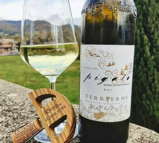 vini bianchi liguri: il pigato