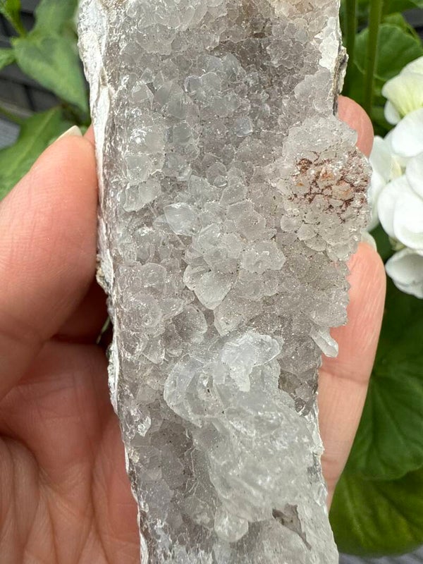 Quartz Druzy Freeform