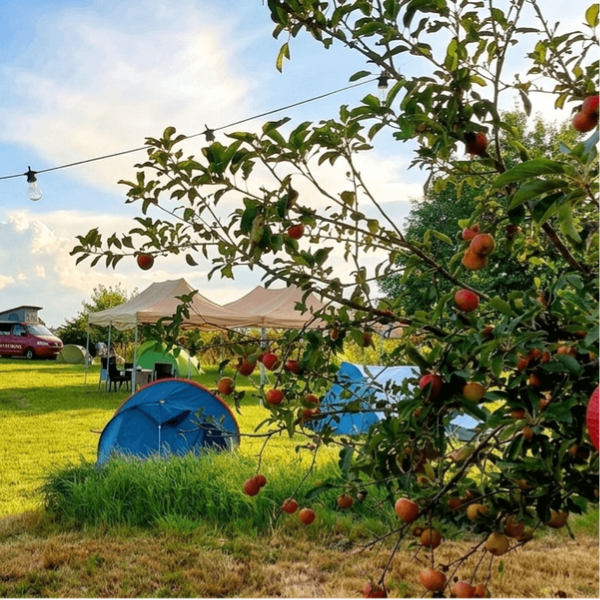 🌿 23 -25 Juli, Ruimte & Verlangen | voor wie meer ruimte wil voor zichzelf