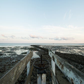 dsc_4349.jpg