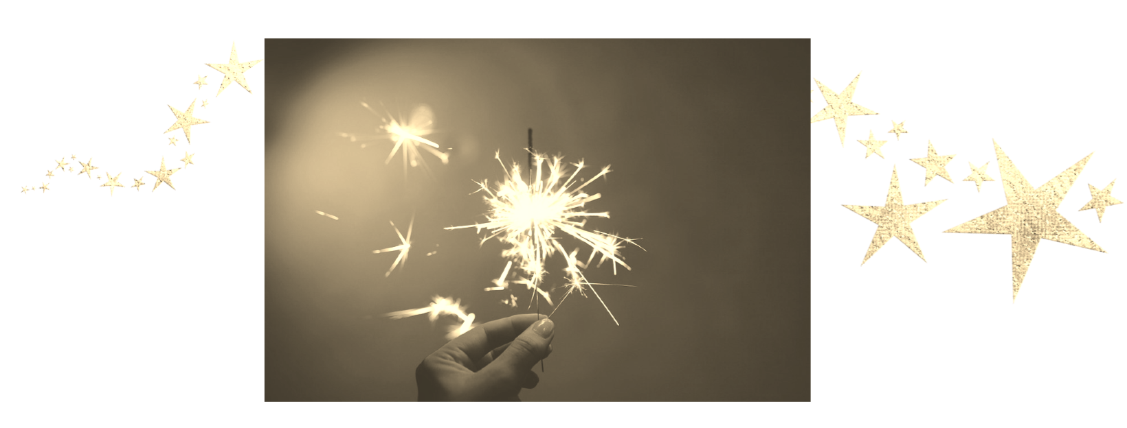 Gemiste huisdieren sterretjes