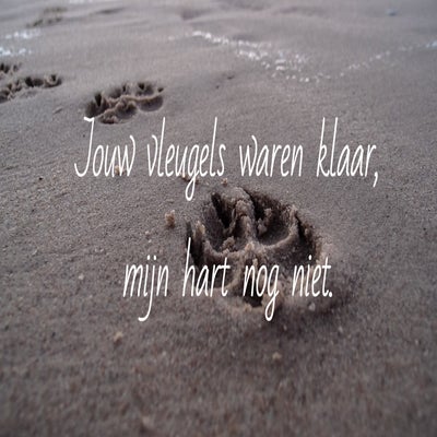 tekst-dieren-3-standard.jpg