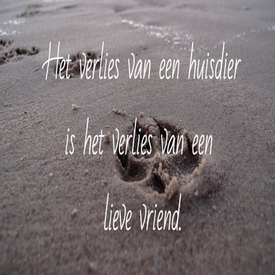 tekst-dieren-4-standard.jpg