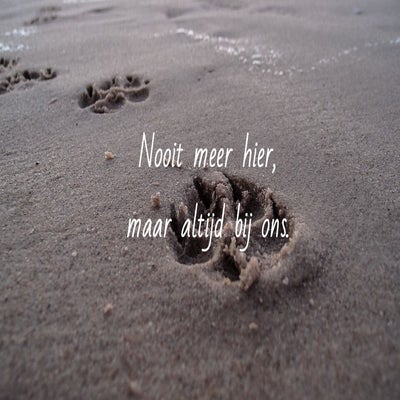 tekst18-jjpg-standard.jpg