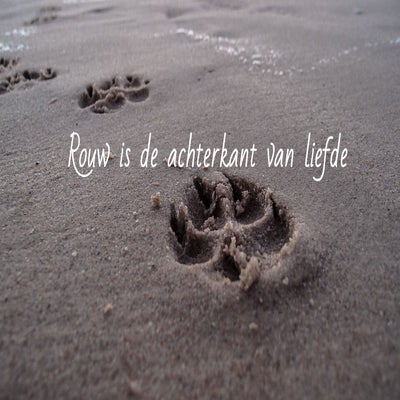 tekst19-jjpg-standard.jpg