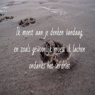 tekst20-jjpg-standard.jpg