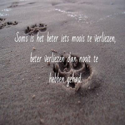 tekst5-standard.jpg