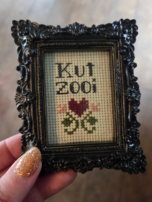 Kutzooi