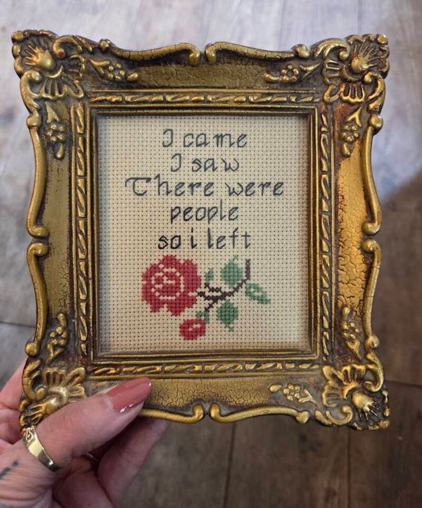 I came i saw