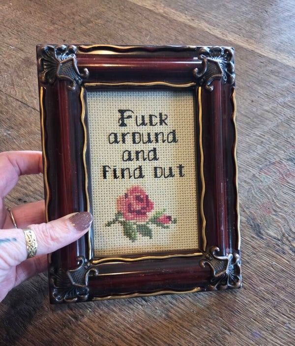 Fuck around and find out