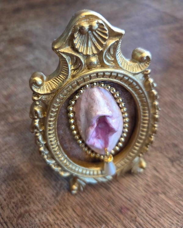 Vulva 4