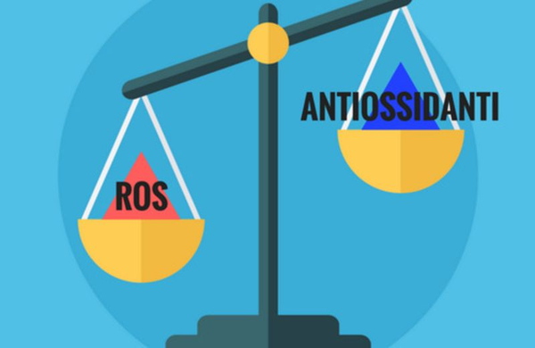 Articolo 3: Corso Completo (12 Lezioni) – Corso Stress Ossidativo