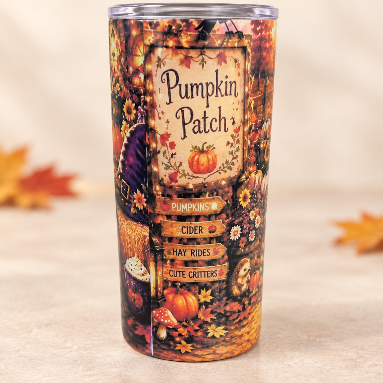 Pumpkin Patch Magic