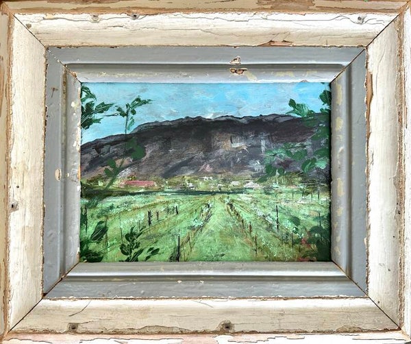 Montagu plaas (ingelijst)