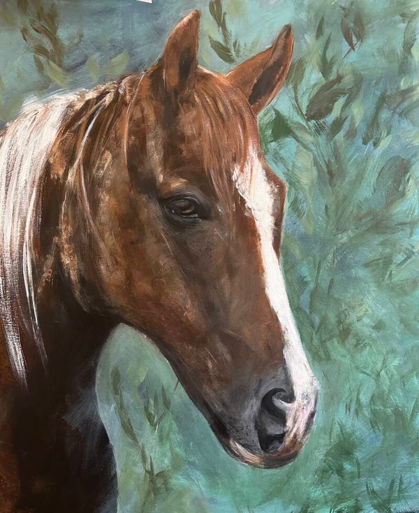 Perd vir familie Joossen