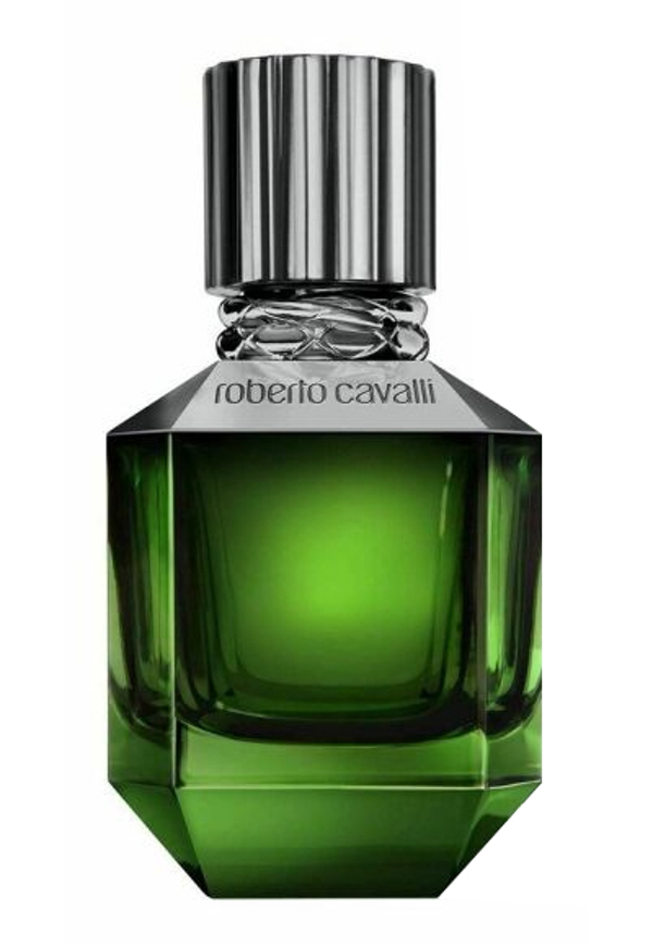 ROBERTO CAVALLI "PARADISE FOUND"