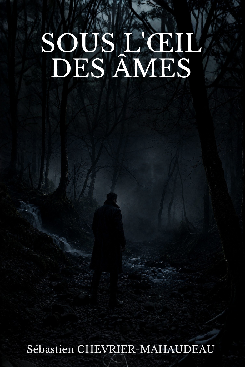 Sous l’Œil des Âmes - Edition Reliée