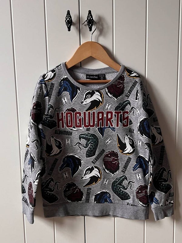 Sweater Harry Potter