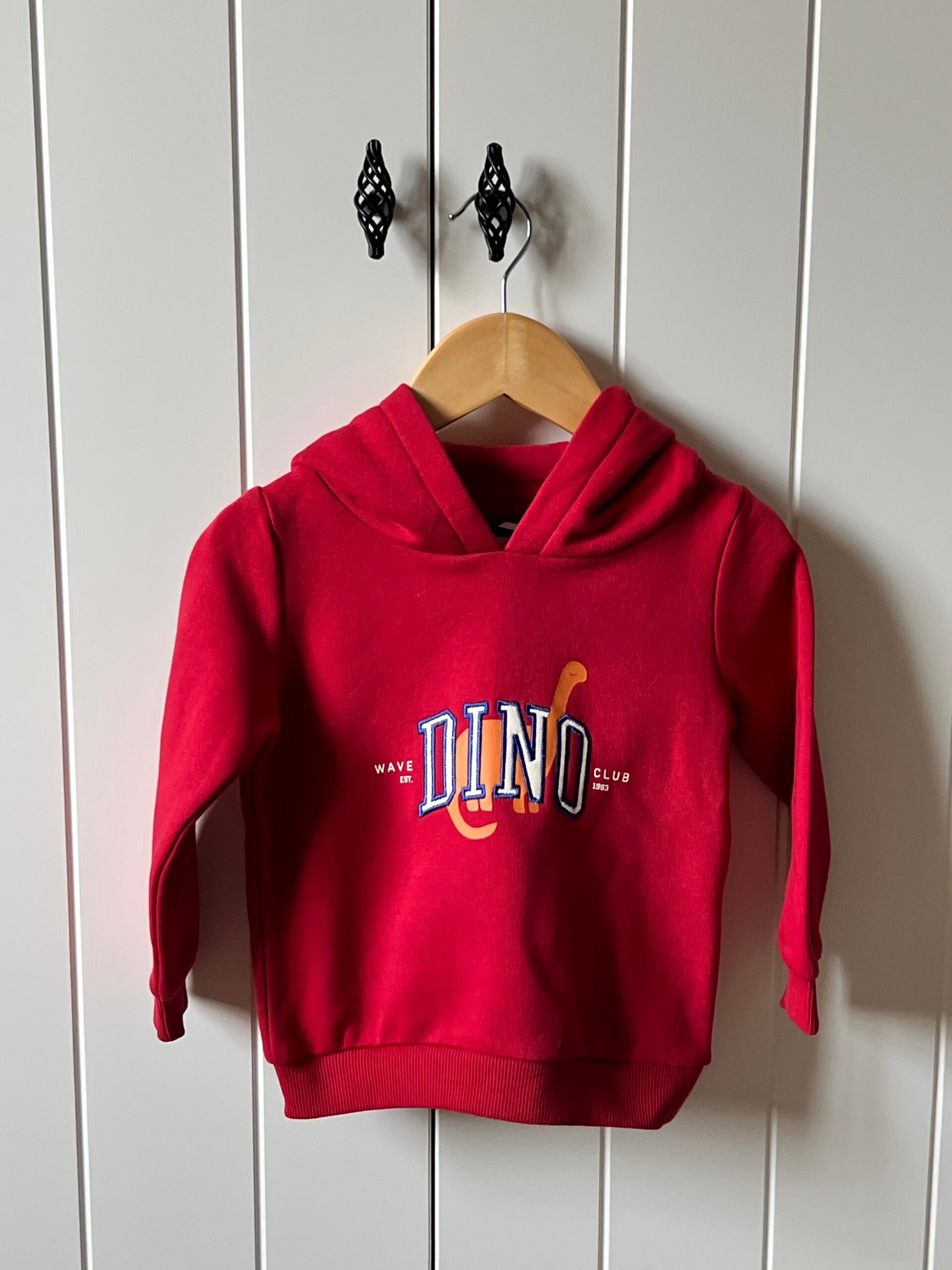 Hoodie Urban Wave