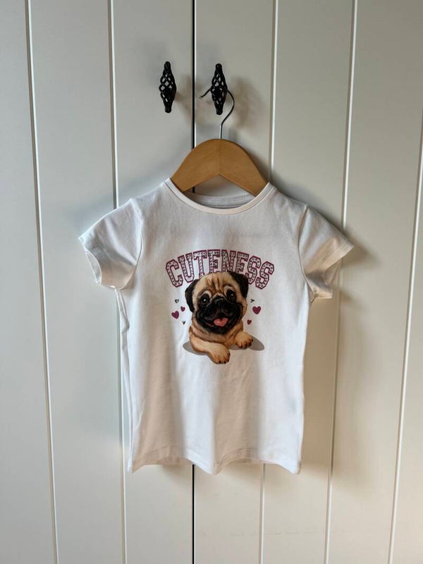 T-shirt Frizzle