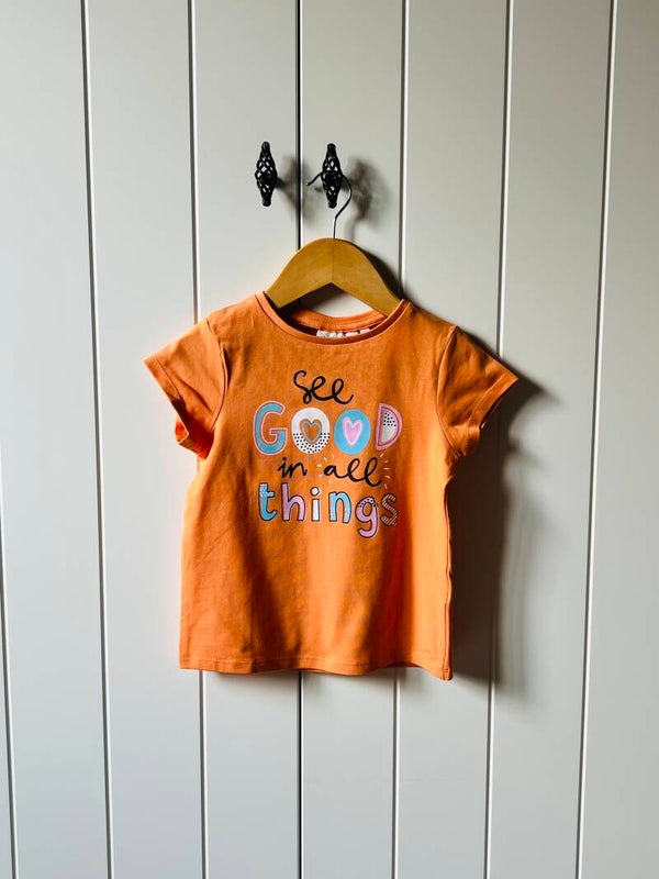 T-shirt Frizzle