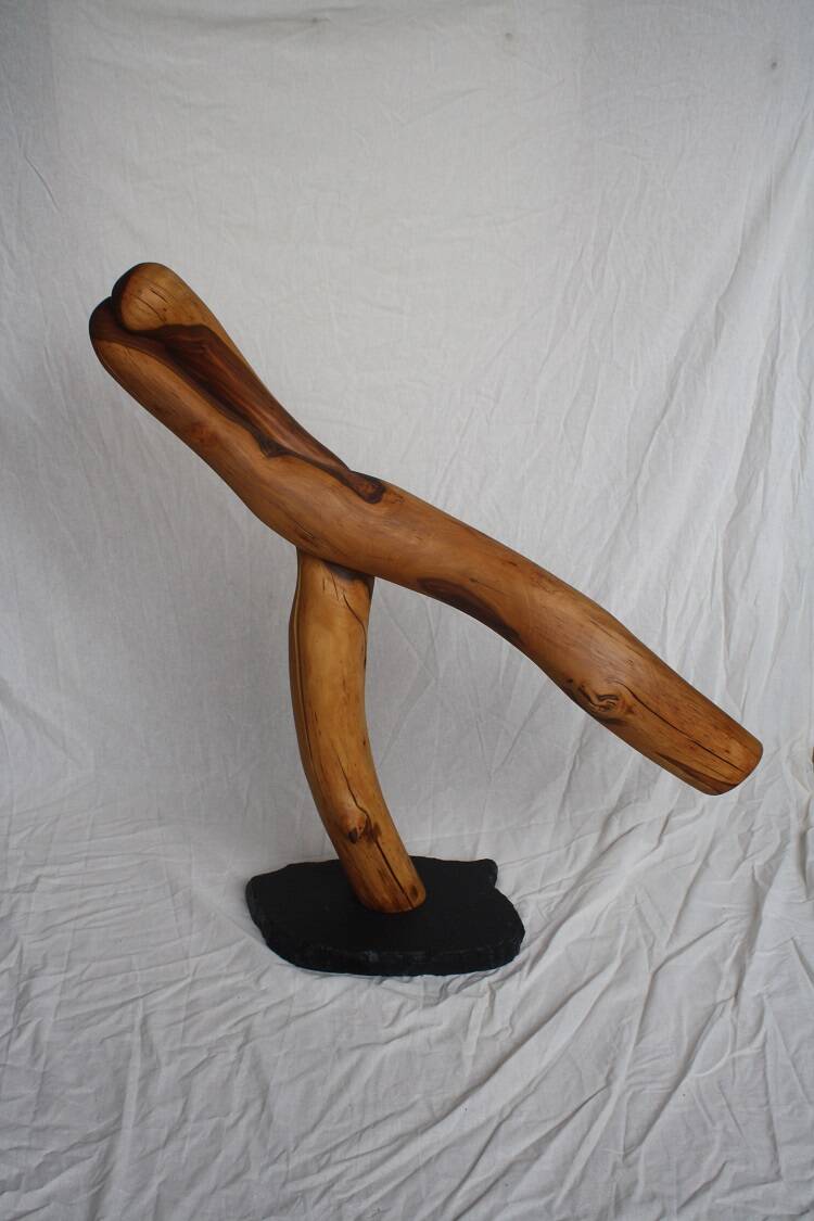 abstract houten sculptuur dansen van appelhout