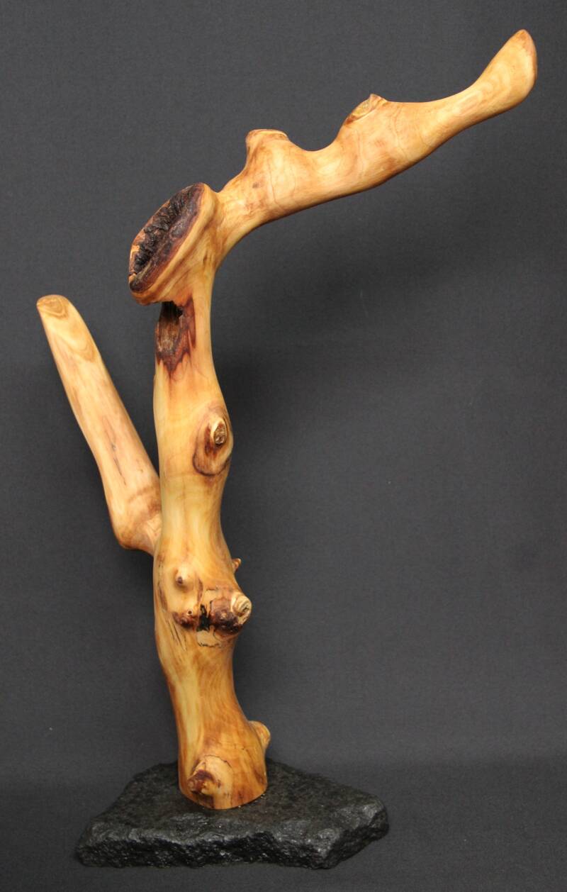 hout sculptuur grenenhout beeld beeldhouwen beeldhouwwerk halloween griezelig vormgeven houthakken houtsnijden houtbewerken