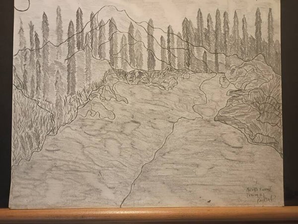 midnight forest