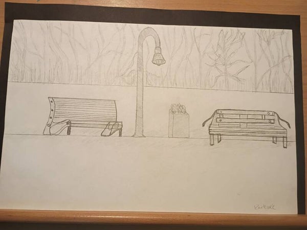 nighttime park benches