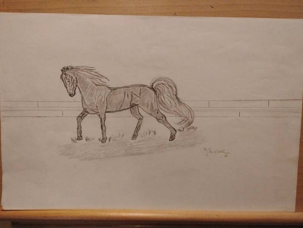 horse sketch